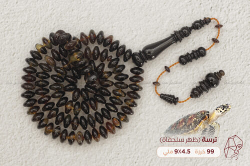 ترسة (ظهر سلحفاة بحرية)