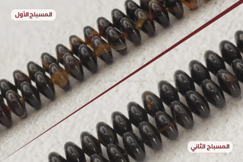 ترسة (ظهر سلحفاة بحرية)