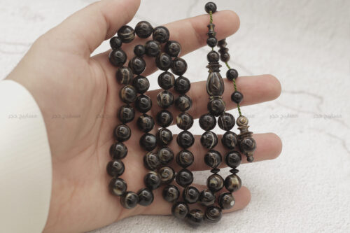 ترسة (ظهر سلحفاة بحرية) عيون