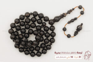 ترسة (ظهر سلحفاة) بحرية