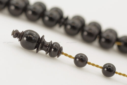 ترسة (ظهر سلحفاة) بحرية