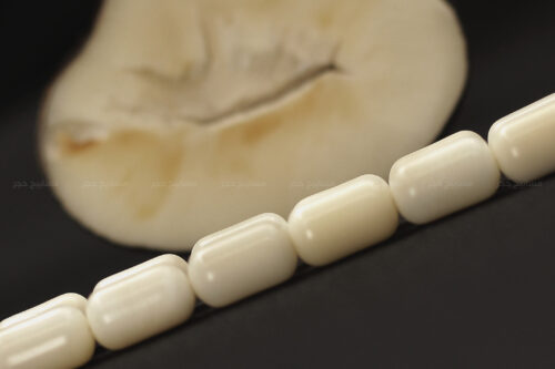 ثمرة التاغوا مع خشب البلاسانك (حجم ناعم)