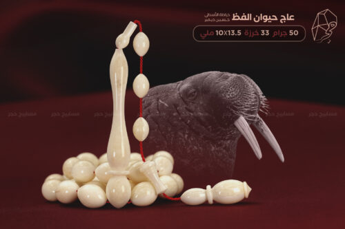 عاج حيوان الفظ (خراطة حسين ديمير)