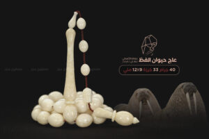 عاج حيوان الفظ (خراطة تنهان تانيلدز)