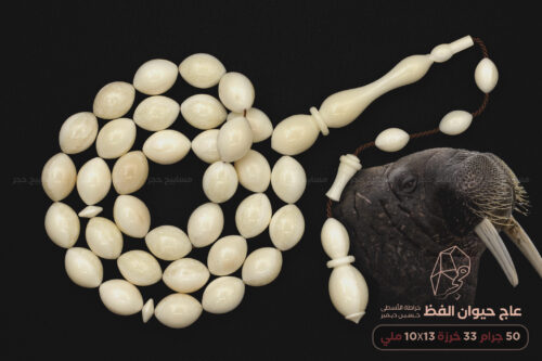 عاج حيوان الفظ (خراطة حسين ديمير)