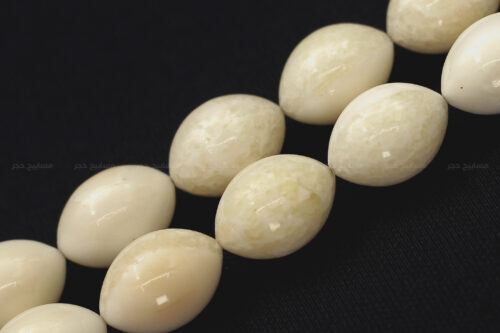 عاج حيوان الفظ (خراطة حسين ديمير)