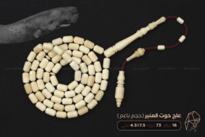 من نوادر الخامات: عاج حوت العنبر (حجم ناعم)