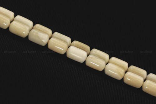 من نوادر الخامات: عاج حوت العنبر (حجم ناعم)