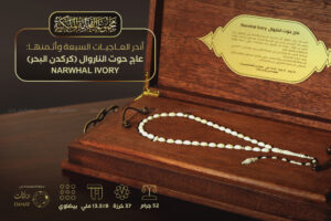 أندر وأثمن العاجيات السبعة: عاج حوت الناروال Narwhal ivory