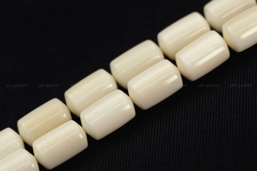 عاج فرس النهر (أصلب العاجيات السبعة وأنصعها)