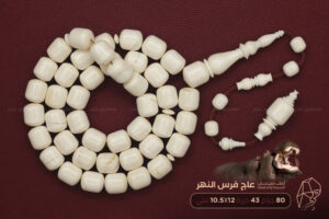 عاج فرس النهر (أصلب العاجيات السبعة وأنصعها)