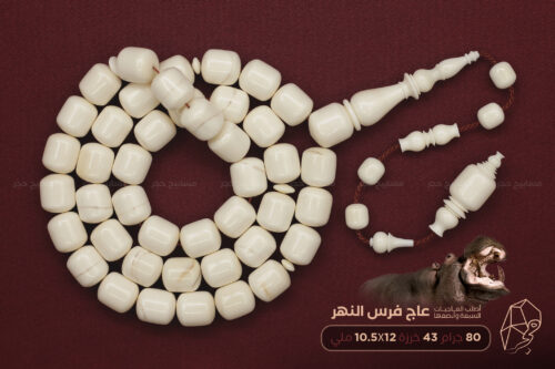 عاج فرس النهر (أصلب العاجيات السبعة وأنصعها)