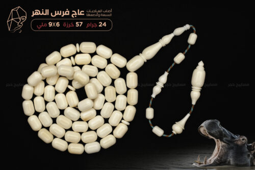 عاج فرس النهر (أصلب العاجيات السبعة وأنصعها) - حجم ناعم