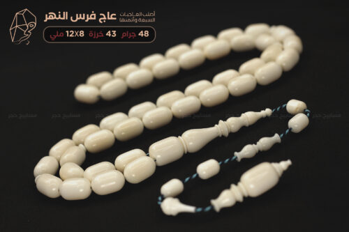 عاج فرس النهر (أصلب العاجيات السبعة وأنصعها)