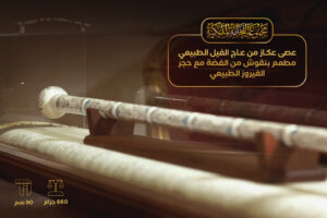 عصى عكاز من عاج الفيل الأفريقي (مطعمة بالفضة والفيروز)