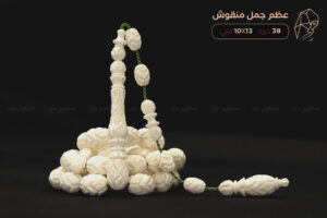 عظم جمل منقوش بالكامل