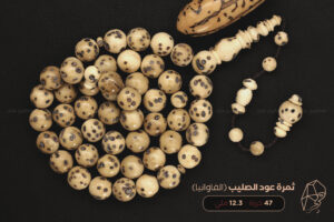 ثمرة عود الصليب (الفاوانيا)