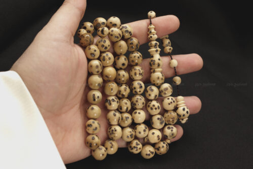 ثمرة عود الصليب (الفاوانيا)