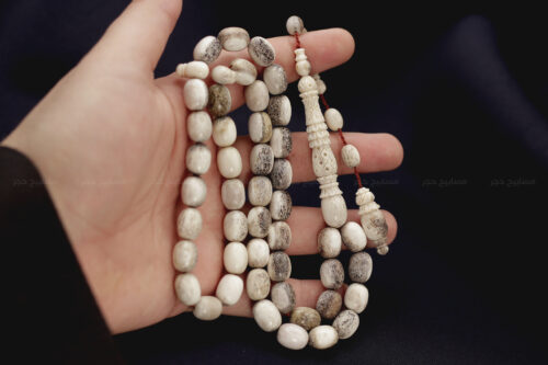 قرن غزال الفولدير (الأيل الأوروبي) بطقم منقوش