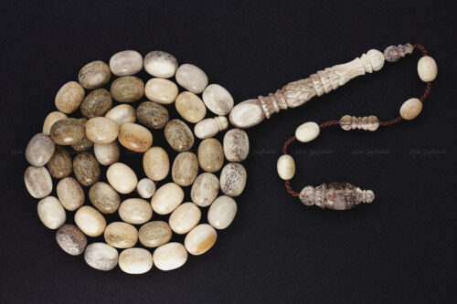 قرن غزال الفولدير (الأيل الأوروبي) بطقم منقوش