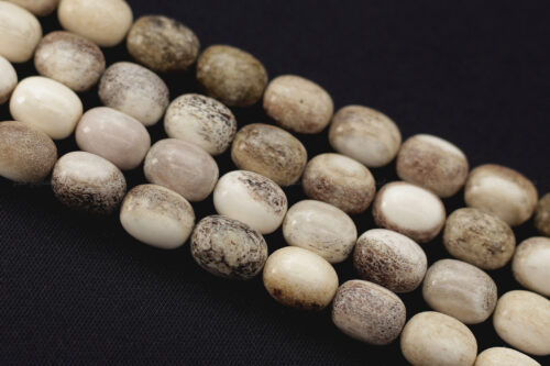 قرن غزال الفولدير (الأيل الأوروبي) بطقم منقوش