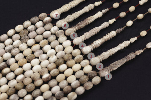 قرن غزال الفولدير (الأيل الأوروبي) بطقم منقوش