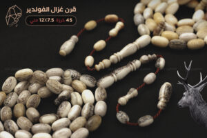 قرن غزال الفولدير (الأيل الأوروبي) حجم ناعم