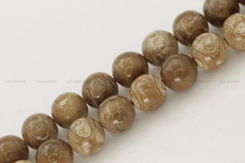 مسباح اليسر الوردي (أندر أنواع اليسر)