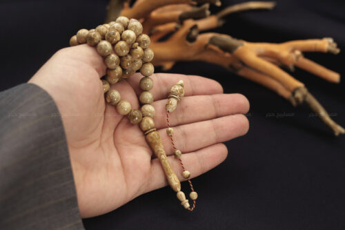 مسباح اليسر الوردي (أندر أنواع اليسر)