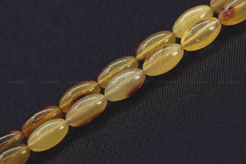 أظافر سلحفاة بحرية (ترسة) حجم ناعم