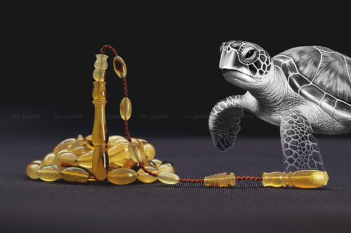 أظافر سلحفاة بحرية (ترسة) حجم ناعم