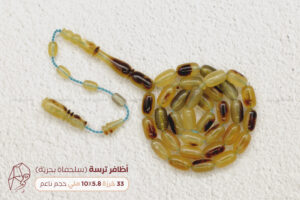 أظافر سلحفاة بحرية (ترسة) حجم ناعم