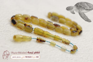 أظافر سلحفاة بحرية (ترسة) حجم ناعم