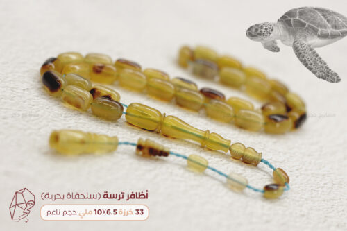 أظافر سلحفاة بحرية (ترسة) حجم ناعم