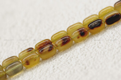 أظافر سلحفاة بحرية (ترسة) حجم ناعم