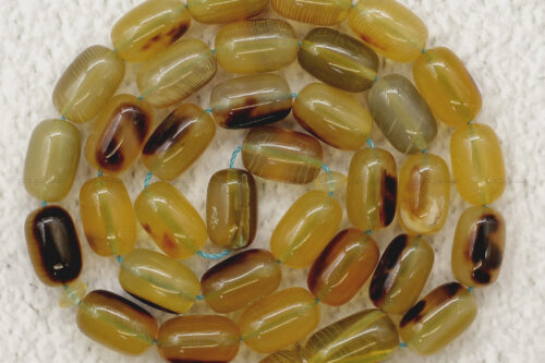 أظافر سلحفاة بحرية (ترسة) حجم ناعم