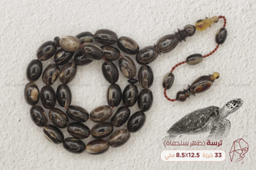 ظهر السلحفاة البحرية (ترسة) - حجم ناعم