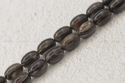 ظهر السلحفاة البحرية (ترسة) - حجم ناعم