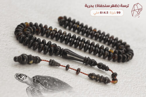 ترسة (ظهر سلحفاة بحرية) ذروي