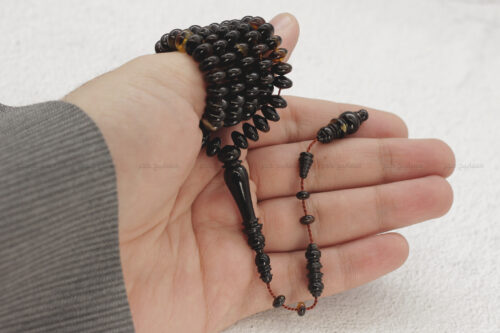 ترسة (ظهر سلحفاة بحرية) ذروي