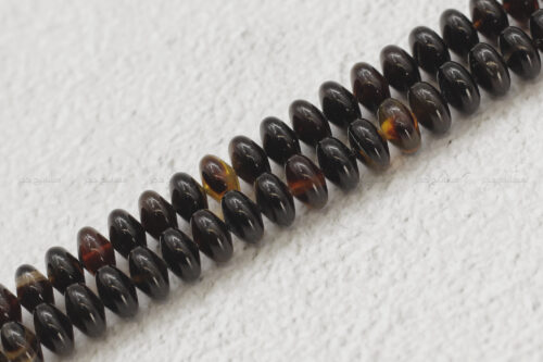 ترسة (ظهر سلحفاة بحرية) ذروي