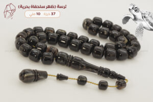 ترسة (ظهر سلحفاة بحرية) صندوقي