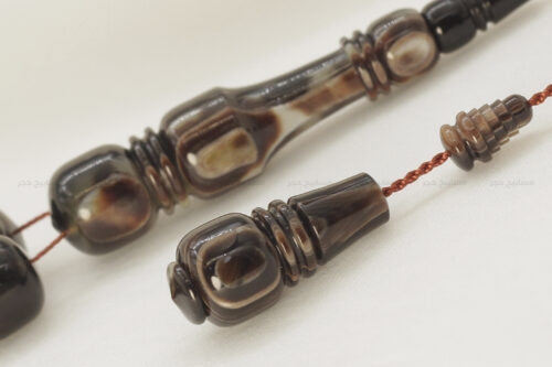 ترسة (ظهر سلحفاة بحرية) صندوقي