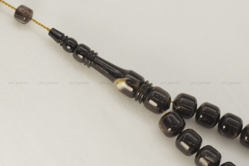 ترسة (ظهر سلحفاة بحرية) صندوقي