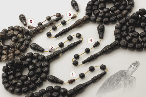 ترسة (ظهر سلحفاة بحرية) صندوقي