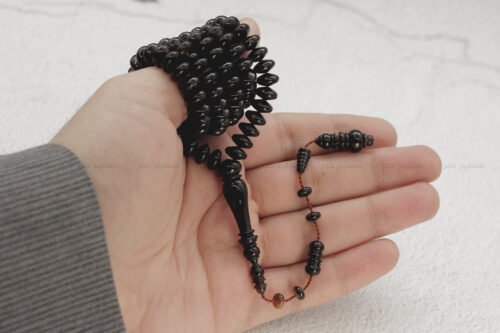 ترسة (ظهر سلحفاة بحرية) ذروي