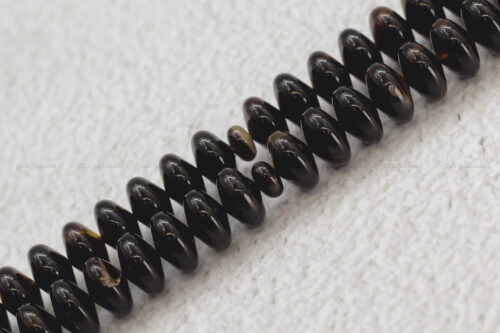 ترسة (ظهر سلحفاة بحرية) ذروي