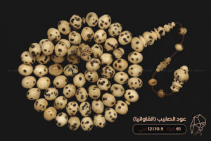 ثمرة عود الصليب (الفاوانيا)