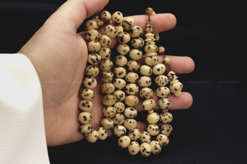 ثمرة عود الصليب (الفاوانيا)