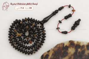 ترسة (ظهر سلحفاة بحرية) ذروي